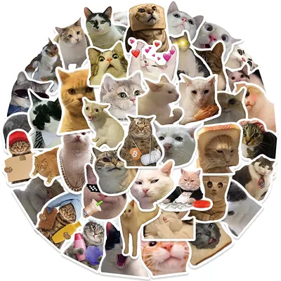 50 Stück lustige Katzen-Aufkleber, niedliche Katzen-Meme-Aufkleber, Kätzchen-Tiere, Abziehbilder, wasserfeste Vinyl-Aufkleber für Skateboard, Umschläge, Gitarre Image