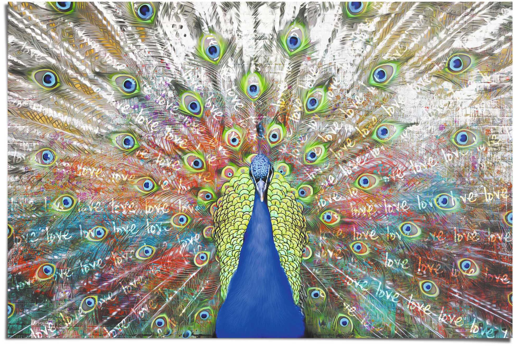 Poster REINDERS "Liebespfau", bunt (farbe bild(er): mehrfarbig), B:91,5cm H:61cm, Papier, Bilder Image