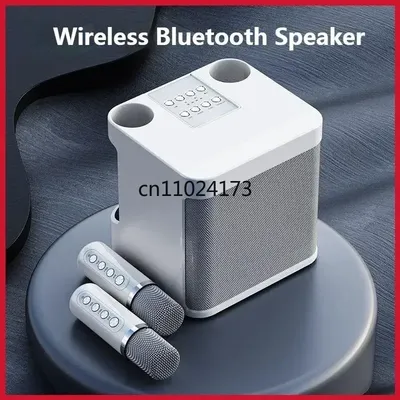 Powerful 10W Wireless Portable Bluetooth Speaker With Dual Microphone Sound Outdoor Family Party Karaoke Subwoofer Boom Box
