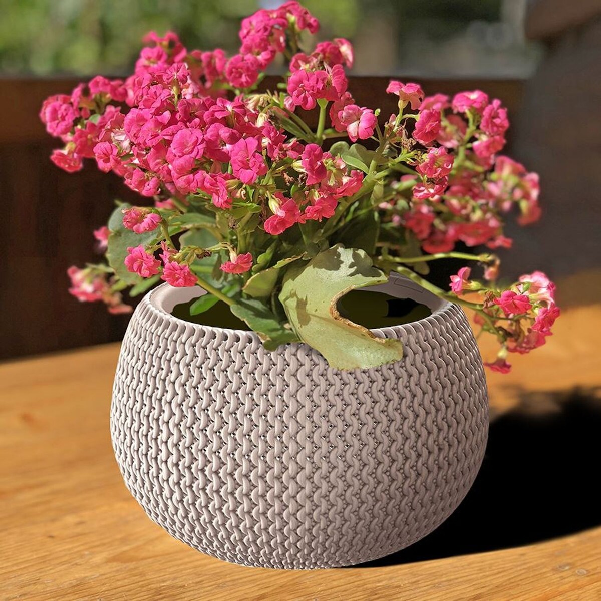 Prosperplast Blumentopf mocca taupe Strickmuster Pflanztopf Pflanzkübel Blumenkübel Übertopf Taupe Image