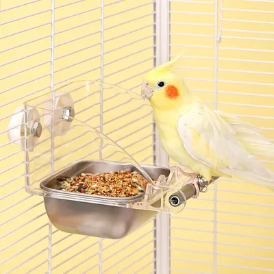 Bird Feeder for Cage Transparent Bird Feeders Bird Feeder with Anti-Slip Stand Stainless Steel Bird Bowls Parakeet Feeder S L