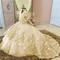 Champagne Flower Girl Dress For Wedding Feather Applique Puffy Floor Length Princess Kids Birthday First Communion Ball Gown