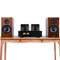 Juson Audio JTA50 Hifi Tube Amplifier BT Combined with Paiyon HIFI 4S 4 ohms Passive Bookshelf Speakers