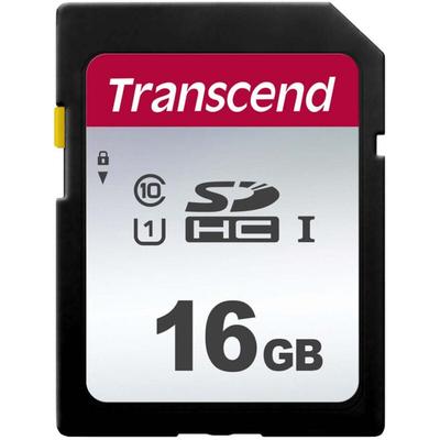 Sdhc 16 gb uhs-i U1 (R95/W45) Image