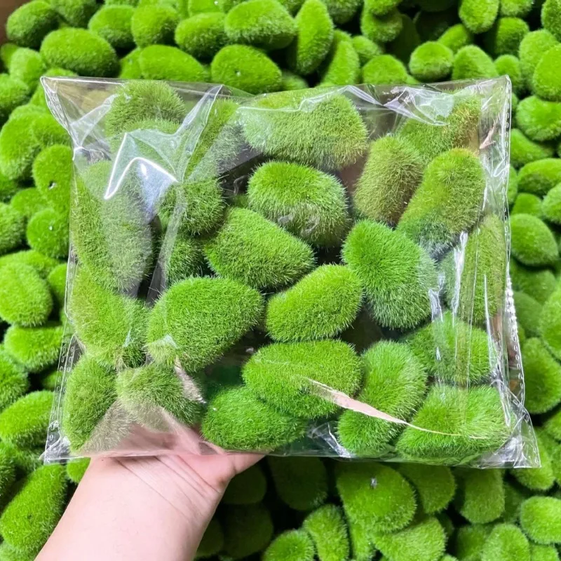 Pots de fleurs de jardin en pierres de mousse simulées, 10 pièces, aménagement de micro paysager, décoration de jardin