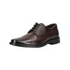Schnürschuh LLOYD "LLOYD Businessschuhe Glattleder", Herren, Gr. 45, moro, Glattleder, elegant, Schuhe