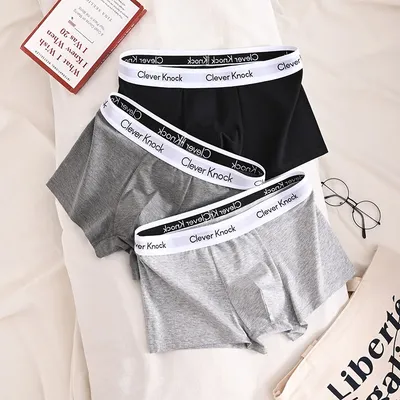 4Pcs Boxer Shorts männer Unterwäsche Sexy Höschen Baumwolle Boxer Mann Unterhose Männlichen Shorts Homme U Konvexen Dessous Großhandel viele Image