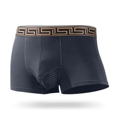 Herren-Unterhose, Modal, Hodensack mit vier Ecken, Boxershorts, Pistole, Eierlift, Testosteron-Patronenbeutel, Trennung, Eisseide, atmungsaktiv Image