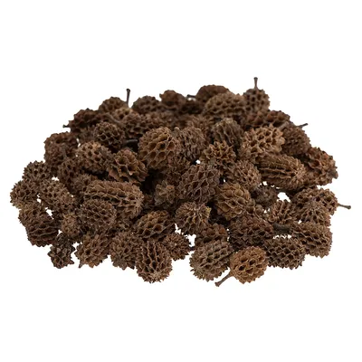 Mini-Zapfen, braun, 50 g Image
