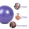25cm Mini Yoga Ball Exercise Gymnastic Fitness Pilates Ball Balance Exercise Gym Fitness Yoga Training Workout Ball