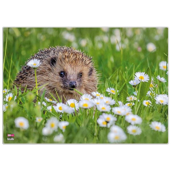 Veloflex Schreibtischunterlage »Igel«, 50x35 cm Image