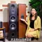 Hifi Speaker BN156 Fever Household Dual 8-inch Hifi Floor-standing Speakers Passive Floor-standing Speakers