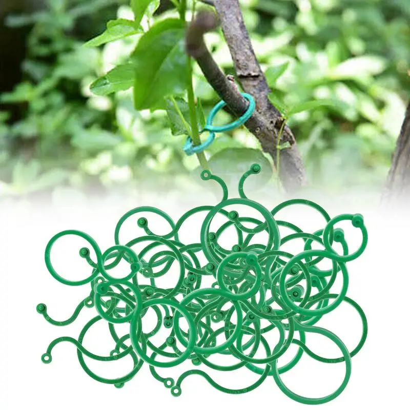 50/100 Stück Rankenhalter-Clips, 8-förmige Schnalle, Pflanzenhalter, Gurkenrebe, Ständer, Clips für Kletterpflanzen, Stielunterstützung, Gartenwerkzeug Image