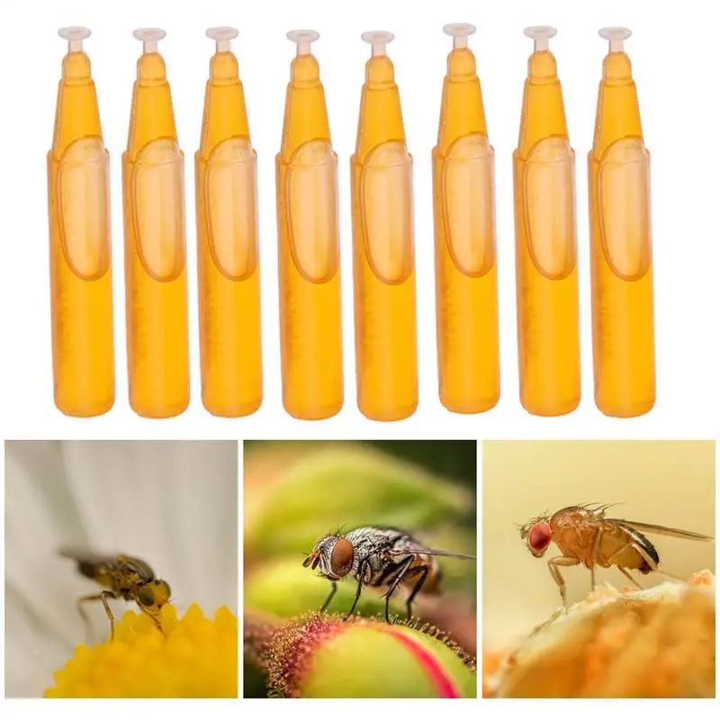 10-teiliger Fruchtfliegen-Lockstoff, flüssiger Fruchtfliegenvernichter im Freien, Drosophila-Lockstoff für Gärten, Hinterhöfe, Gewächshäuser, Kindergärten Image