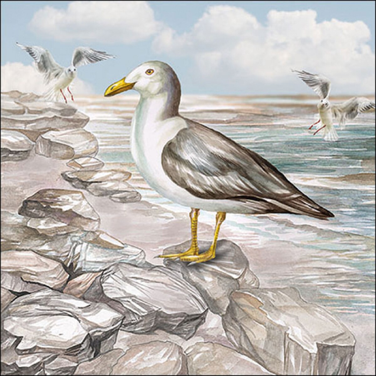 Card image cap