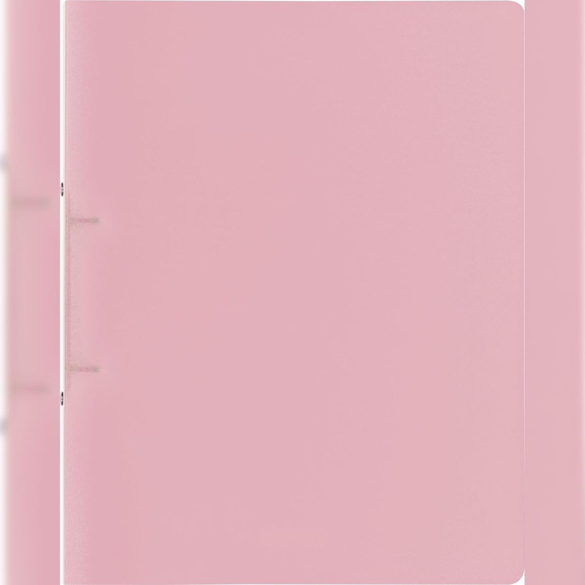 BRUNNEN Ringbuch A4 FACT! 16mm 2-Ringe rosa Image