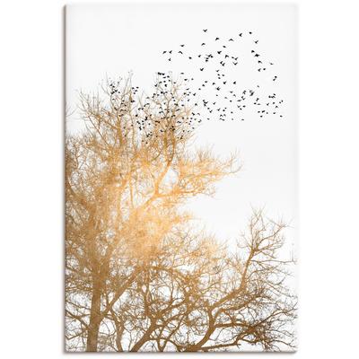 Wandbild ARTLAND "Goldener Himmel", weiß (farbe bild(er): weiß), B:80cm H:120cm T:1,8cm, Canvas, Leinwand, Bilder, als Leinwandbild, Poster in verschied. Größen Image