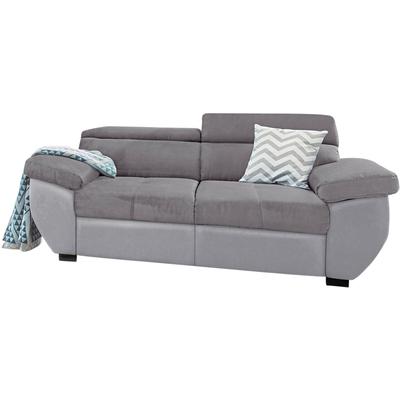 2-Sitzer COTTA "Speedway", grau (hellgrau, dunkelgrau), B:195cm H:74cm T:103cm, Kunstleder SOFTLUX / Luxus-Microfaser (100% Polyester), Flachgewebe (100% Polyester) / Struktur fein ( 100% Polyester), Kunstleder SOFTLUX / Struktur (100% Polyester),... Image
