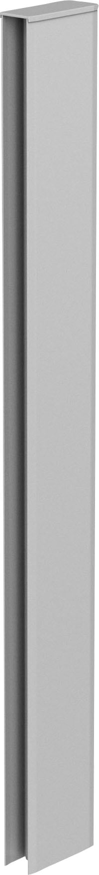 Verbindungsprofil BIOHORT, silber (silberfarben), B:3,9cm H:91cm L:10,5cm, Aluminium, Profile, für Hochbeet-Rankgitter Image