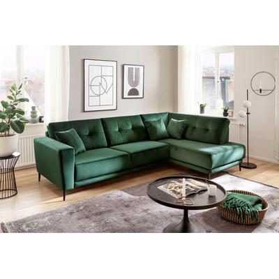 Polsterecke TRENDS BY HG "Barcelona L-Form", grün (dunkelgrün), B:273cm H:86cm T:165cm, Sofas, mit Metallfuss, frei im Raum stellbar Image