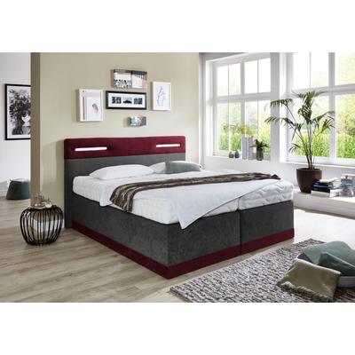 Boxspringbett, rot (bordeaux, anthrazit), Kaltschaum-Topper, Liegefläche B/L: 90cm x 200cm, H2, Bonnell-Federkernmatratze, Bezug Obermatratze 100% Polyester, waschbar bis 60u00b0C, Bezug Unterbox und Kopfteil: Mikrofaservelours (100% Polyester),... Image