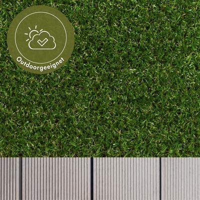 Kunstrasen ANDIAMO "Mallorca, Made in Netherlands", grün, B:200cm H:29mm L:250cm, Kunstfaser, Teppiche, realistische Optik, für Balkon, Garten & Terrasse, wasserdurchlässig Image