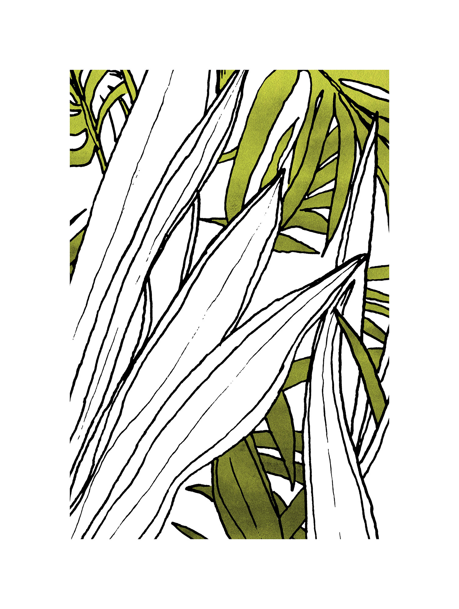 Bild KOMAR "Bleached Leaves", grün (farbe bild(er): grün, weiß), B:30cm H:40cm, Holz, Papier, Bilder, Wandbild zur Dekoration - ohne Rahmen Image