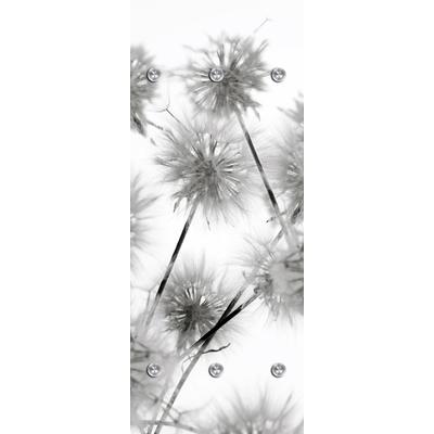 Garderobenleiste QUEENCE "Blüte", grau, B:50cm H:120cm T:10cm, Acrylglas, Edelstahl, Garderobenhalter, mit 6 Haken, 50 x 120 cm Image
