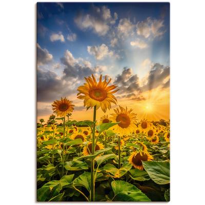 Wandbild ARTLAND "Sonnenblumen im Sonnenuntergang", bunt (farbe bild(er): bunt), B:60cm H:90cm T:1,8cm, Canvas, Leinwand, Bilder, als Leinwandbild, Poster in verschied. Größen Image