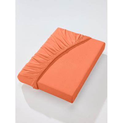 Betttuch BIBERNA Gr. 3, orange (terrakotta), B:140-160cm L:200-220cm, Jersey, 97% Baumwolle, 3% Elasthan, Laken Image