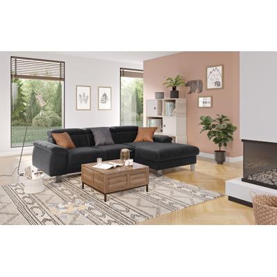 Ecksofa COTTA "Komaris L-Form mit Kopfteilverstellung", schwarz (charcoal), B:244cm H:72cm T:166cm, 88% POLYESTER (PES) 12% POLYAMID (PA), Sofas, wahlweise mit Bettfunktion, Bettkasten & Beleuchtung, Topseller Image