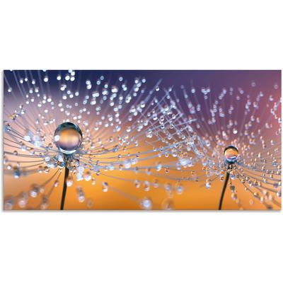 Wandbild ARTLAND "Pusteblumen Tautropfen", orange (farbe bild(er): orange), B:40cm H:20cm, Bilder, als Alubild, Outdoorbild, Leinwandbild, Poster, Wandaufkleber Image