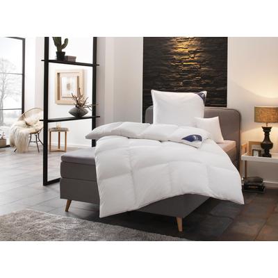 Daunenbettdecke + Federkissen SPESSARTTRAUM "First Class", weiß, B/L: 135cm x 200cm Anzahl Teile 1, B/L: 80cm x 80cm Anzahl Teile 1, extrawarm, Bettdecken Bezug: 100% Baumwolle. Kopfkissen Bezug: 100% Baumwolle. Bettdecken Füllung: 90% Daunen, 10%... Image