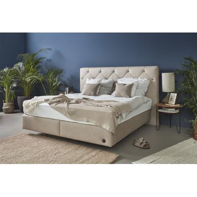 Boxspringbett BIRKENSTOCK "Stalon Box", grau (kieselgrau hga 19), B:213cm L:216cm, Lederoptik HGA (100% Polyester), Scheuertouren 100000, Komplettbetten, Boxspringbett, Kopfteil mit Dicklederknöpfen, in unterschiedlichen Ausführungen Image