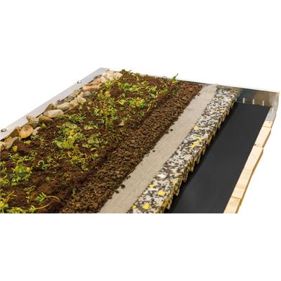 Pflanzeinsatz SKANHOLZ "Dachbegrünung", beige (natur), B:350cm T:600cm, Pflanzgefäße, für Carport Emsland/Wendland