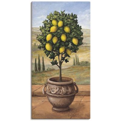 Wandbild ARTLAND "Zitronenbaum", beige (farbe bild(er): naturfarben), B:30cm H:60cm T:1,8cm, Canvas, Leinwand, Bilder, als Leinwandbild, Wandaufkleber in verschied. Größen Image
