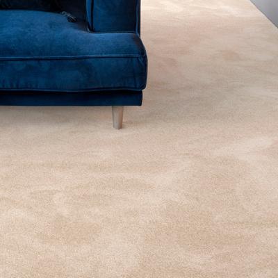 Teppichboden ANDIAMO "Levin, Velours, Made in Belgium", beige (hellbeige), B:500cm H:10mm L:800cm, Kunstfaser, Teppiche, Uni Farben, Breite 400 cm oder 500 cm, weiche Qualität Image