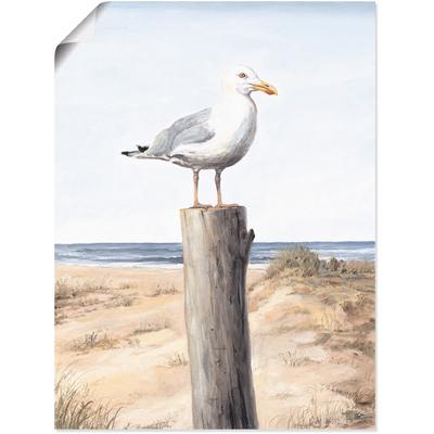 Wandbild ARTLAND "Möwe", weiß (farbe bild(er): weiß), B:30cm H:40cm, Bilder, als Alubild, Outdoorbild, Leinwandbild, Poster, Wandaufkleber Image