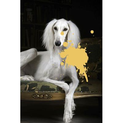 Acrylglasbild QUEENCE "Hund mit Farbklecks", schwarz (farbe bild(er): grün), B:100cm H:150cm T:2,4cm, Bilder, Fine Art-Print in Galeriequalität Image