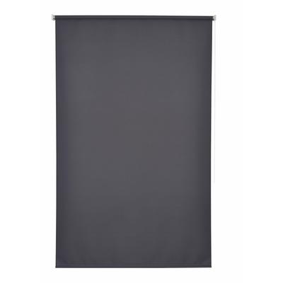 Seitenzugrollo GOOD LIFE "Amelie" Gr. 5, grau (anthrazit), B:102cm H:180cm, Polyester, Rollos, 1 Stück Image