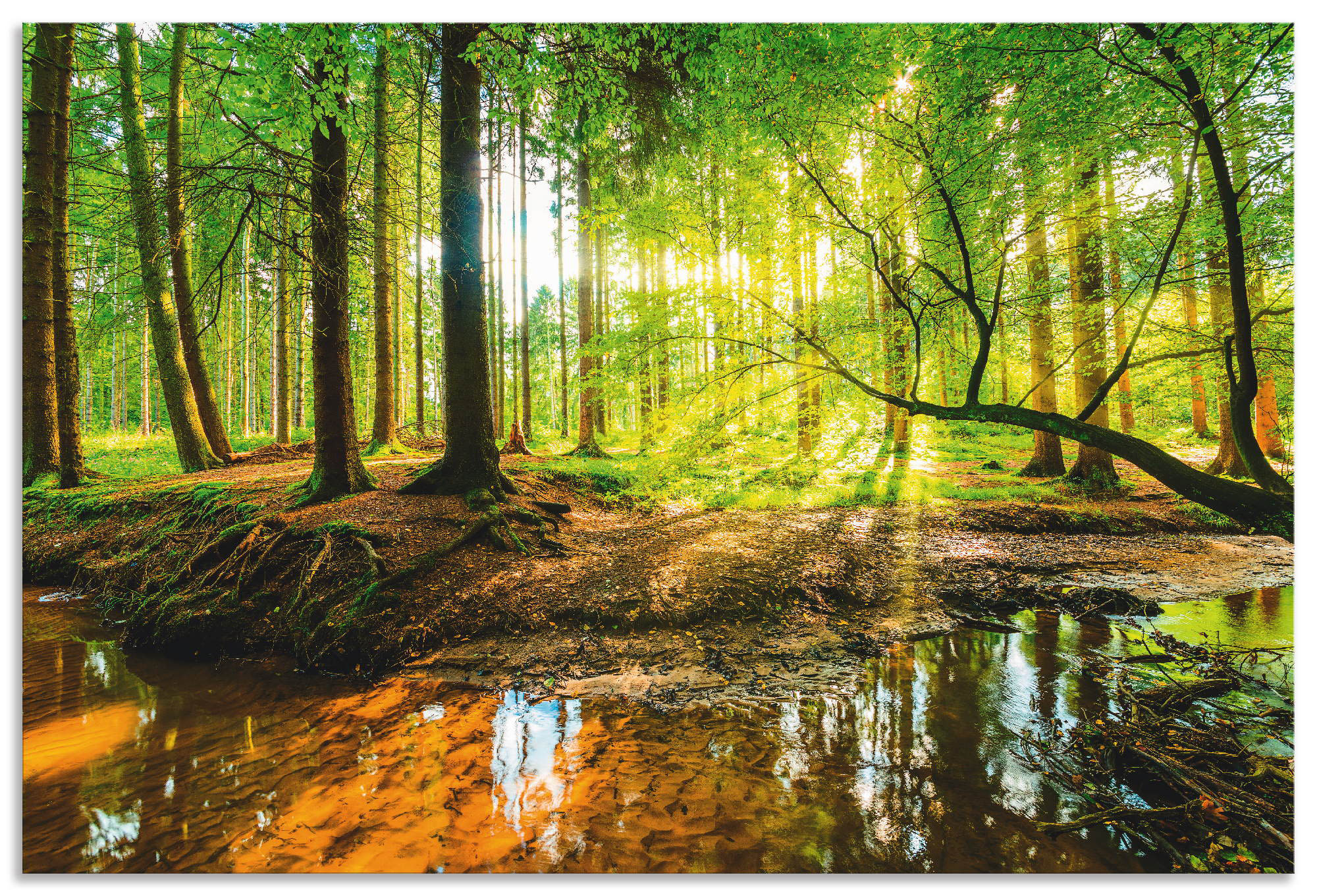 Wandbild ARTLAND "Wald mit Bach", grün (farbe bild(er): grün), B:60cm H:40cm, Bilder, als Alubild, Outdoorbild, Leinwandbild, Poster, Wandaufkleber Image