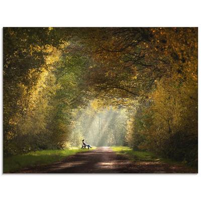 Glasbild ARTLAND "Licht am Ende des Tunnels...", grün (farbe bild(er): grün), B:60cm H:45cm, Bilder, in verschiedenen Größen Image