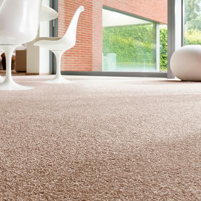 Teppichboden ANDIAMO "Rubinoy, Schlinge, Made in Belgium", braun (braun,beige), B:500cm H:8,5mm L:300cm, Kunstfaser, Teppiche, Breite 400 cm oder 500 cm, Wohnzimmer, strapazierfähig & robust Image