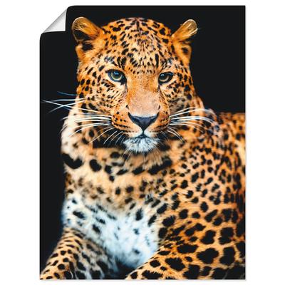 Wandbild ARTLAND "Wütender wilder Leopard", schwarz (farbe bild(er): schwarz), B:30cm H:40cm, Bilder, als Alubild, Outdoorbild, Leinwandbild, Poster, Wandaufkleber Image