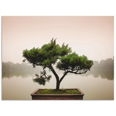 Wandbild ARTLAND "Chinesischer Bonsaibaum", grün (farbe bild(er): grün), B:120cm H:90cm, Bilder, als Alubild, Outdoorbild, Leinwandbild, Poster, Wandaufkleber Image