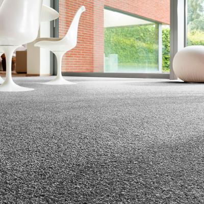 Teppichboden ANDIAMO "Rubinoy, Schlinge, Made in Belgium", grau (anthrazit), B:500cm H:8,5mm L:350cm, Kunstfaser, Teppiche, Breite 400 cm oder 500 cm, Wohnzimmer, strapazierfähig & robust Image
