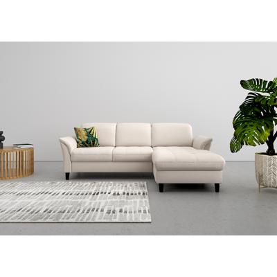 Ecksofa SIT & MORE "Maggiore L-Form", grau (elefant), B:258cm T:173cm, 95% Polyester, 5% Polyamid, Sofas, wahlweise mit Kopfteilverstellung, Bettfunktion und Bettkasten Image
