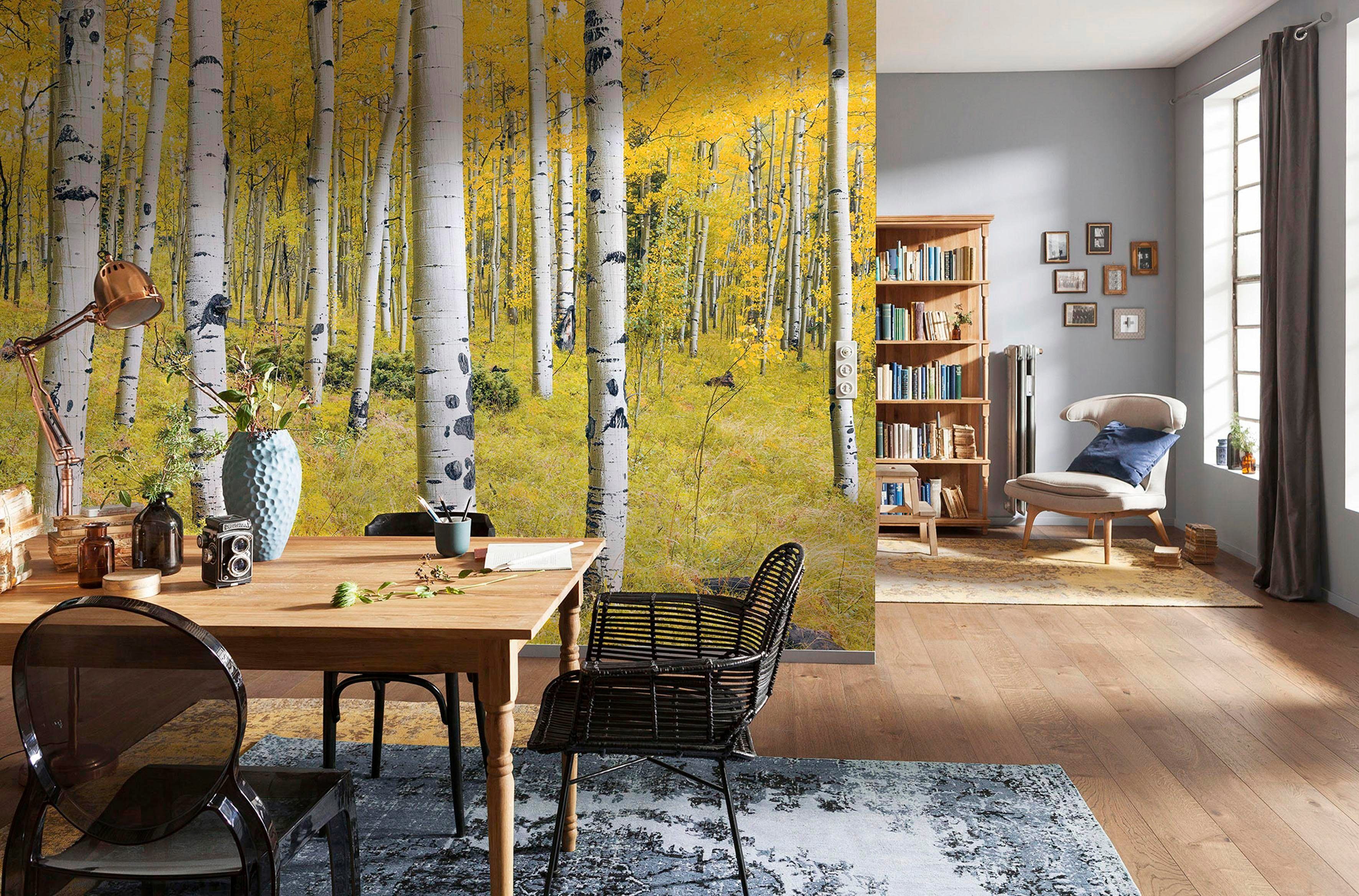 Vliestapete KOMAR "Digitaldruck Vlies - Orange Forest - Größe 400 x 250 cm", weiß, B:400m L:250m, Vlies, Tapeten, Wohnzimmer, Schlafzimmer