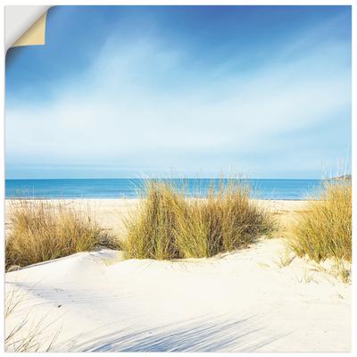 Wandbild ARTLAND "Gras auf Sanddünen", blau (farbe bild(er): blau), B:70cm H:70cm T:0,1cm, Dekorfolie, Bilder, als Leinwandbild, Poster, Wandaufkleber in verschied. Größen Image