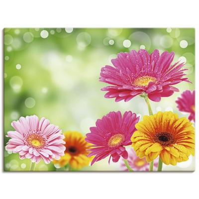 Wandbild ARTLAND "Natürliche Romantik - Gerberas", bunt (farbe bild(er): bunt), B:80cm H:60cm T:1,8cm, Canvas, Leinwand, Bilder, als Leinwandbild, Poster in verschied. Größen Image